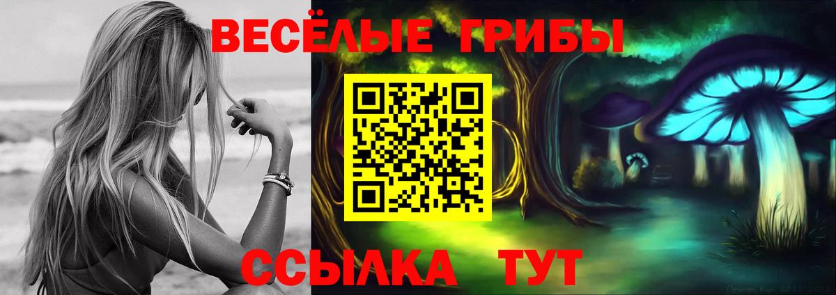 Псилоцибиновые грибы мицелий Кизляр